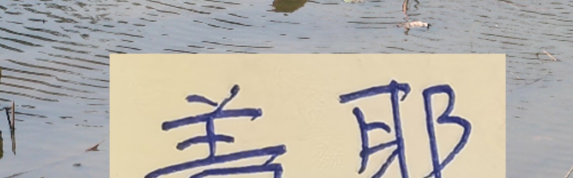 博鱼电竞官方网站-像一堵墙的盖伊 会是申花的卢卡库 还是升级版马莱莱