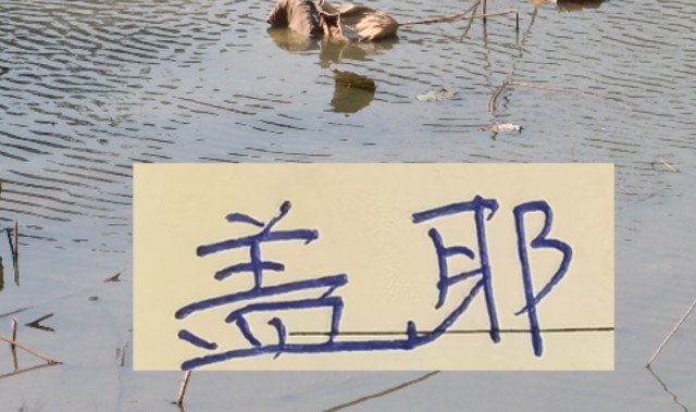 博鱼电竞官方网站-像一堵墙的盖伊 会是申花的卢卡库 还是升级版马莱莱