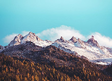 华体会官网：把专业与热情带进每一场比赛的入口